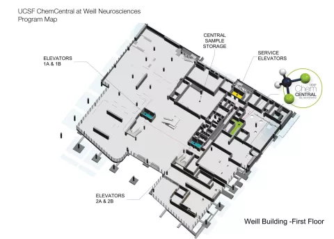Weill floor plan